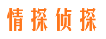 西和寻人公司